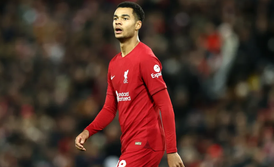 Cody Gakpo thể hiện ra sao trong trận ra mắt Liverpool?